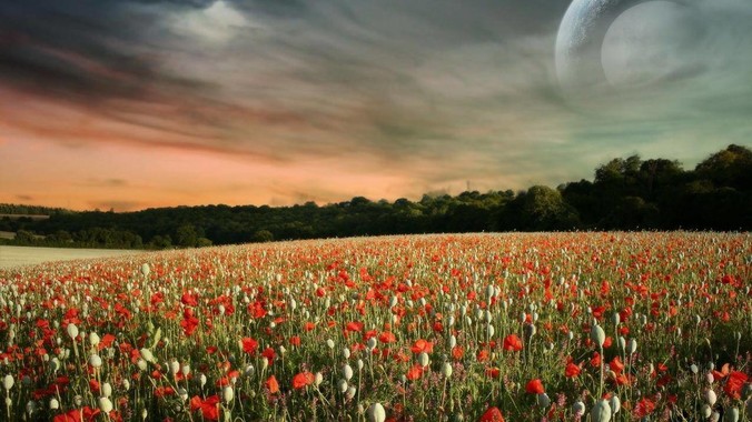 女生到底应不应该穿***的衣服？